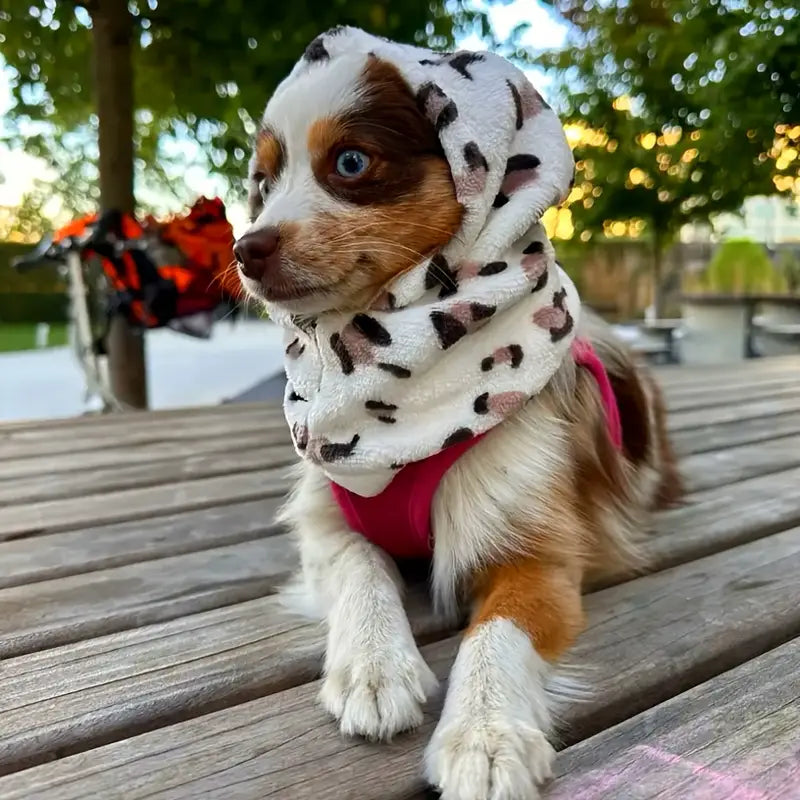 Daily Bargain Adjustable Leopard Print Pet Hoodie – Wildly Cozy, Fiercely Stylish!