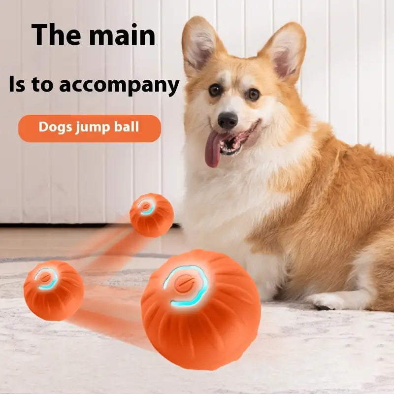 Intelligent Pet Dog Toy Ball